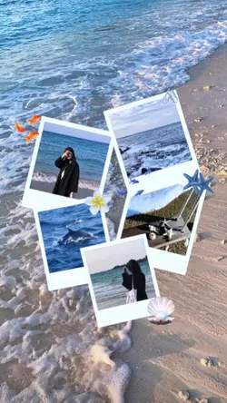6 photo collage