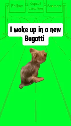 New Bugatti 