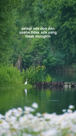 bahanSW