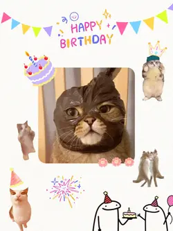 BIRTHDAY LUCU