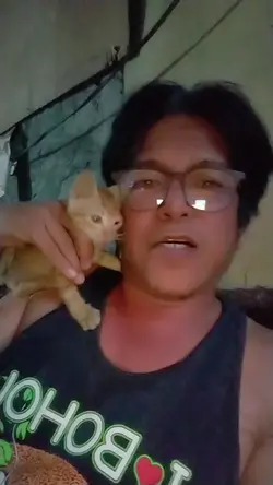 PusaCat