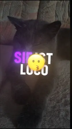 Sie ist Loco