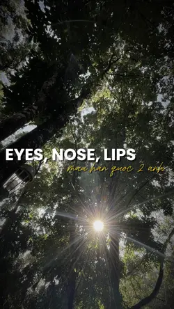 EYES, NOSE, LIPS 