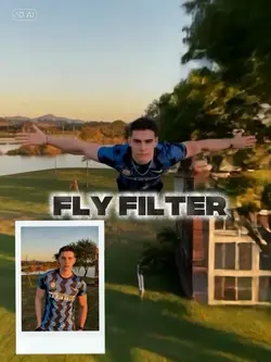 Fly filter 