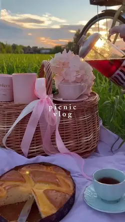 picnic vlog | 41