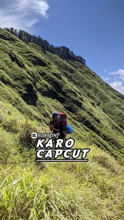 SIHOL SUKSES