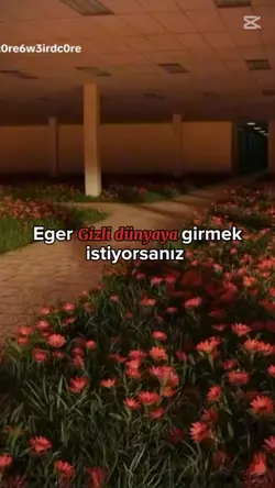 DREAMCORE