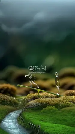 quran Kareem 