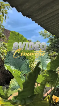 Cinematic 8 Video