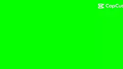 Scan Green Screen