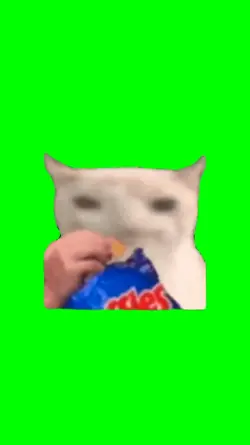 cat eating chips 