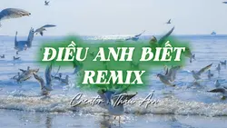 ĐIỀU ANH BIẾT REMIX