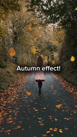 Autumn effect!