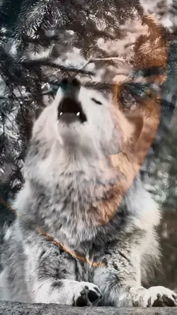WOLF SPIRIT 