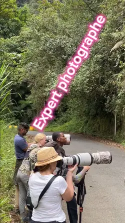 journalistes  photo