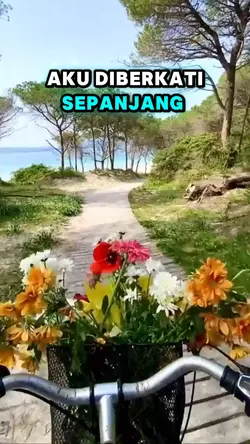Story Harian