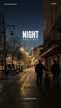 Night Ambience