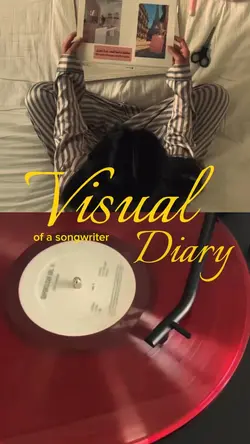 visual diary