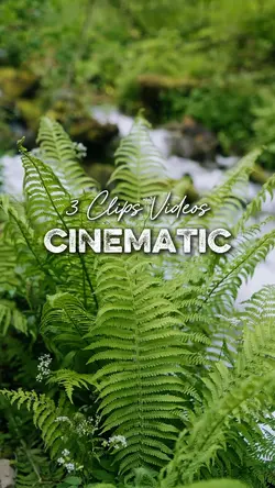 3 Videos Cinematic