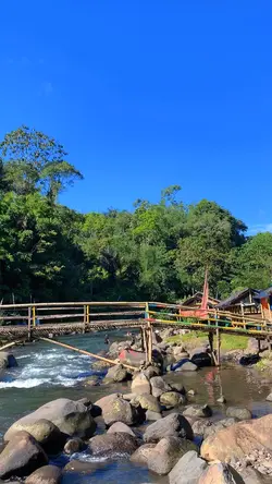 🍃