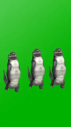 crocodile dancing