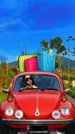 VW Kodok