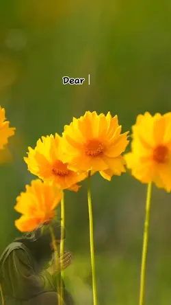 My Prayer 
