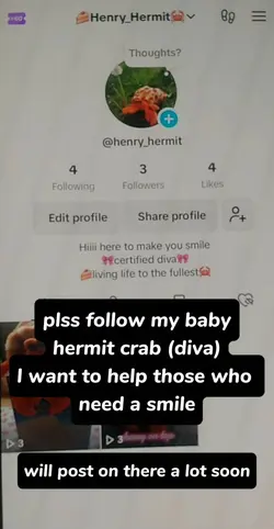 hermit crab tiktok