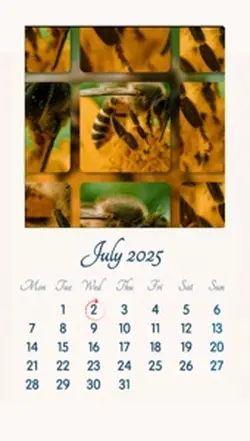 July 2025