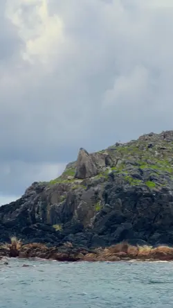 Jurasic park