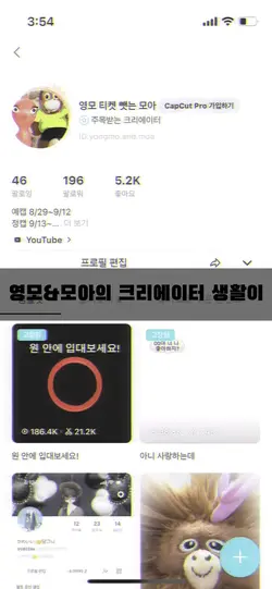 아이랜드 시스템