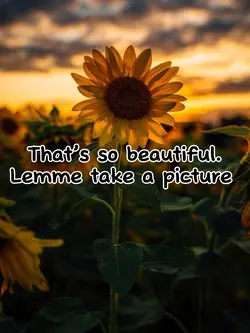 That’s so beautiful 