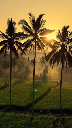 32 seconds in nature