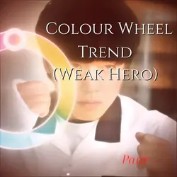 Colour Wheel Trend