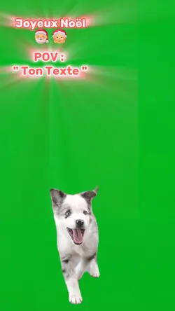 Joyeux Noël Template