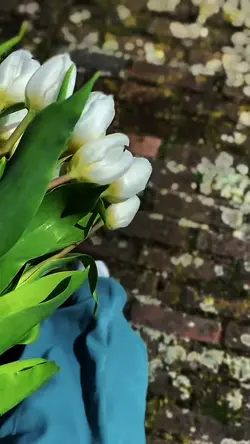 Slowmotion video ✨