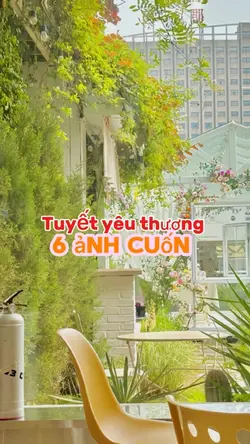 6 ảnh cuốn 