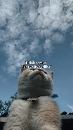Tidak smua terlihat