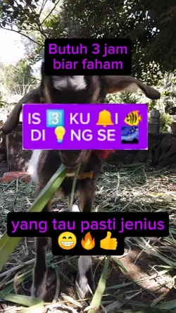 tebak lucu