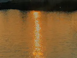 Quotes