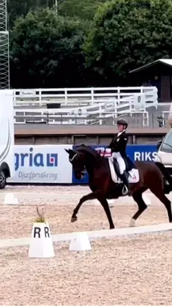 Dressage 😍
