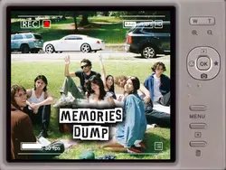 digital camera dump