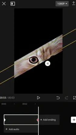Capcut interface 