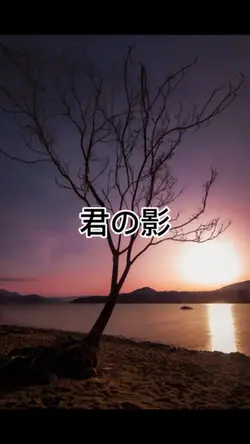 君の影
