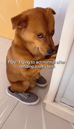 WOBBILY WIGGILY