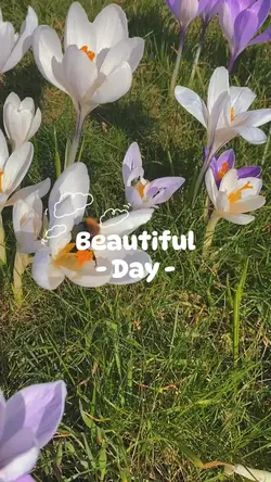 Beautiful day 