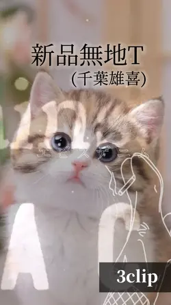 新品無地T♦️文字編集