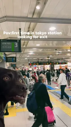 Confusion