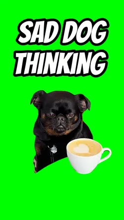 Sad Dog Thinking 
