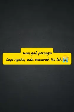 rak sepatu